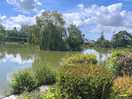 Fish pond