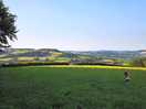 View from one of the walks