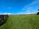 The field