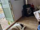 Relaxing in the hut
