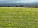 Too much grass. but the view is stunning.