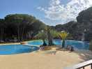 View of the gorgeous pool from the bar/restaurant.