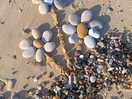 Beach art