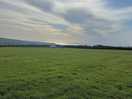 Views from our non electric pitch