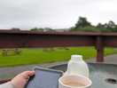 Perfect morning