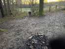 A very muddy pitch site