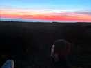 Beautiful sunset