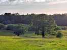 Sun going down behind the trees in the next field.