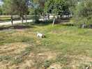 Area vicino camper