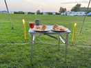 Nice open field with level pitches