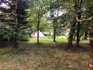 View across the hammock area