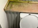 The single toilet.