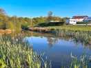 Lovely lake