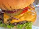 Great cheese burger
