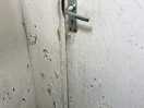 Paintwork peeling