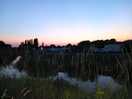 Evening stroll