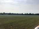 Field