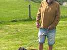 Our dogs loved it x