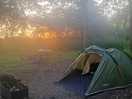 Lovely woodland pitch