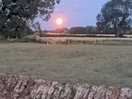 Moonlight feilds.