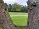 View into the second field