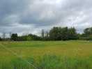 A picture of the site