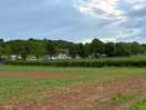 Site looking back from the fishing pond.