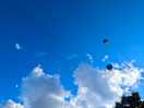 Baloons above view from site