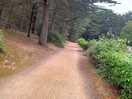 Nice area for running