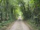 Nice drive to the campsite
