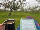 So peaceful listening to the birds