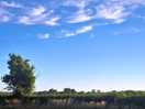 Another beautiful day here