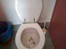 Bagno donne - visto solo cosi