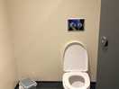 Clean modern toilets