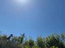 Sunbathing day