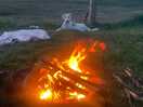 Our dog enjoying the campfire