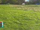 Spacious camping field