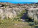 Walks to the sea and sand
