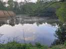 The pond
