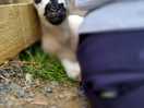 Hide and seek