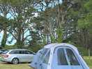 Our very large tent pitch