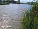 Beautiful lake on site