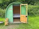 Home for the weekend