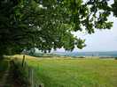 View from local walk