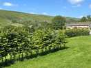 Private hedging