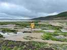 Looking for treasures in the nearby beach :)