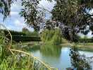 Lake 1