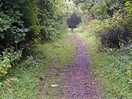 Nearby walk.