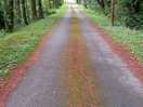 Roads not busy