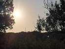 Sunrise2